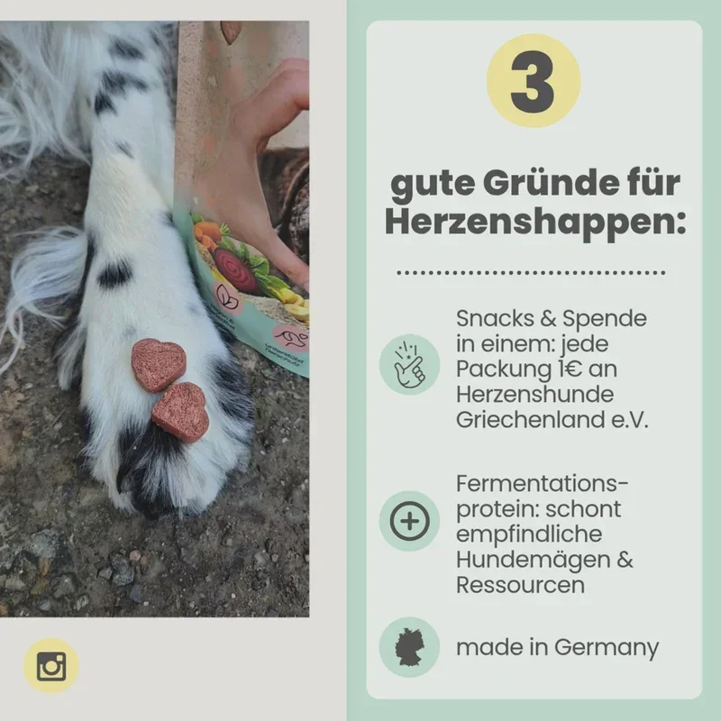 Noms+ Herzenshappen Snack | Hypoallergener Softsnack für sensible Hunde | inkl. Tierschutzspende | 200g
