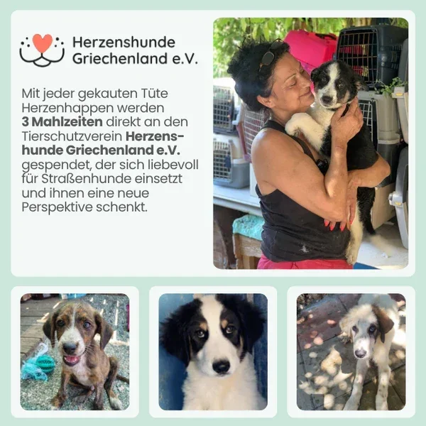 Noms+ Herzenshappen Snack | Hypoallergener Softsnack für sensible Hunde | inkl. Tierschutzspende | 200g