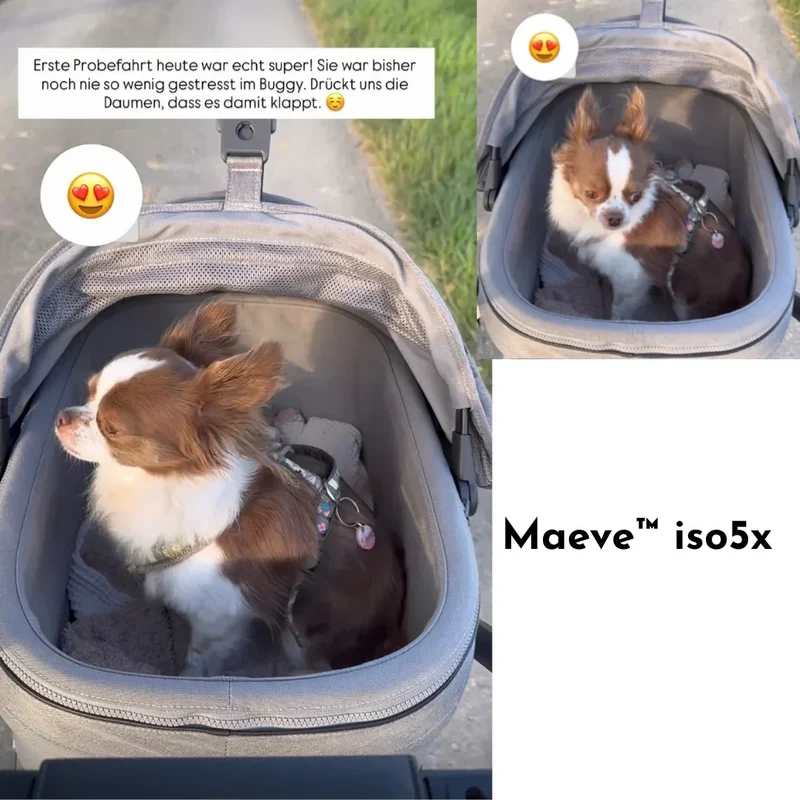 Isofix Autositz & Transportbox Maeve™ iso5x von Tavo für Hunde bis 13.6 kg | GREENGUARD-Gold-Zertifizierung | Farbe: Merle