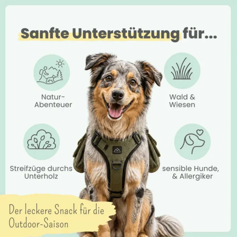 Noms+ Z-Komplex für Hunde | Leckerer Soft-Snack für Wald & Wiese | Für die Outdoor Saison | Vegan & tierleidfrei | 200g