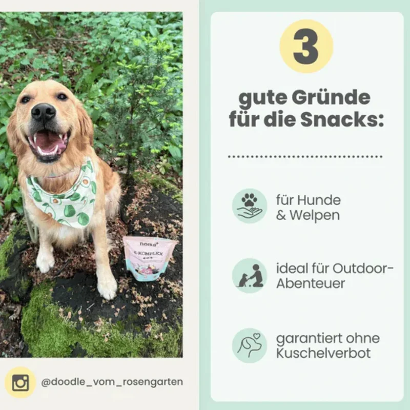 Noms+ Z-Komplex für Hunde | Leckerer Soft-Snack für Wald & Wiese | Für die Outdoor Saison | Vegan & tierleidfrei | 200g