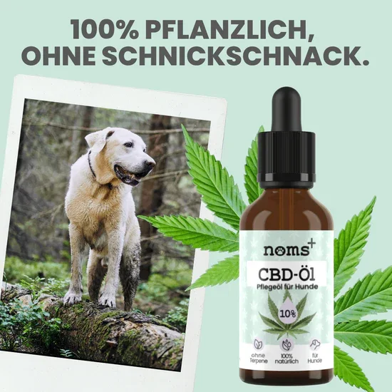 Noms+ 10% CBD Tropfen für Hunde | 100% natürlich & sanft | 10ml Öl