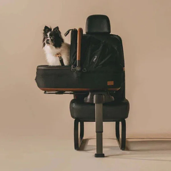 Isofix Autositz & Transportbox Maeve™ Medium Rigid von Tavo für Hunde bis 13.6 kg | GREENGUARD-Gold-Zertifizierung | Farbe: Onyx
