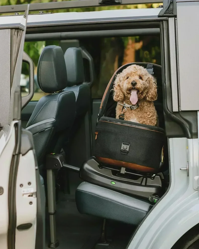 Isofix Autositz & Transportbox Maeve™ Medium Rigid von Tavo für Hunde bis 13.6 kg | GREENGUARD-Gold-Zertifizierung | Farbe: Sable