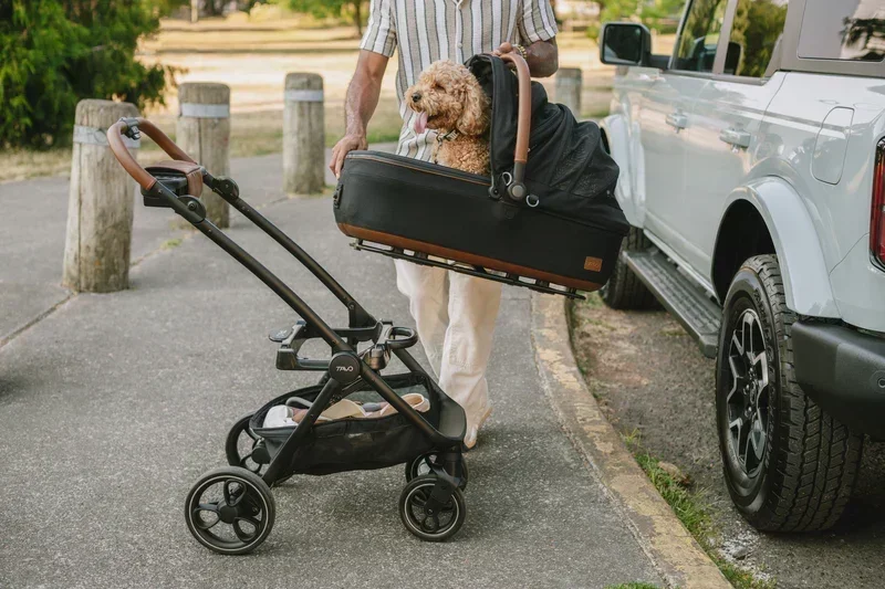 Isofix Autositz & Transportbox Maeve™ Medium Rigid von Tavo für Hunde bis 13.6 kg | GREENGUARD-Gold-Zertifizierung | Farbe: Sable
