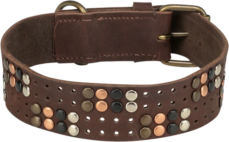 Rustic Fettleder-Halsband Nieten, extra breit