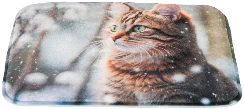 Liegematte Katze