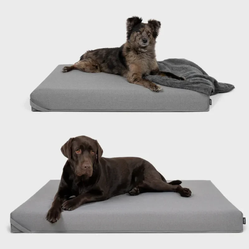 FINNTO® Hundematte orthopädisch | Wasserdicht & Antiallergen | FAIRTRADE & Oeko-Tex® Standard | Hellgrau