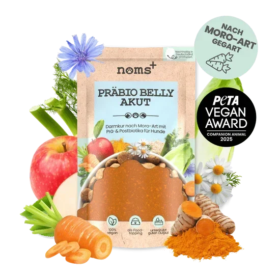 Noms+ Präbio Belly AKUT: pflanzenbasierte Darmkur für Hunde nach Moro-Art - Ready to eat