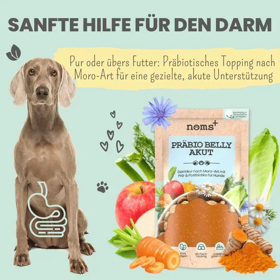 Noms+ Präbio Belly AKUT: pflanzenbasierte Darmkur für Hunde nach Moro-Art - Ready to eat