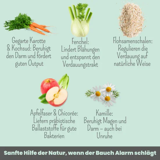 Noms+ Präbio Belly AKUT: pflanzenbasierte Darmkur für Hunde nach Moro-Art - Ready to eat