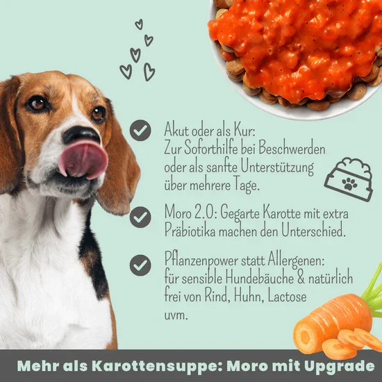Noms+ Präbio Belly AKUT: pflanzenbasierte Darmkur für Hunde nach Moro-Art - Ready to eat