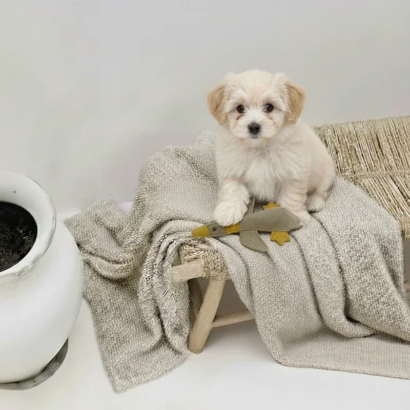 BUDDY. Leder Hundespielzeug Ente - schadstoffgeprüft - 2 Größen - inkl. 15% Rabatt Hundetraining Ellen Marques