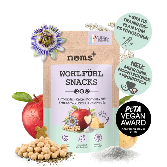 Noms+ Wohlfühlsnacks für Hunde | Bei Stress, Angst, Unruhe & Hyperaktivität | 100% vegan & tierleidfrei | 200g