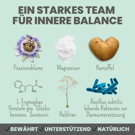 Noms+ Wohlfühlsnacks für Hunde | Bei Stress, Angst, Unruhe & Hyperaktivität | 100% vegan & tierleidfrei | 200g