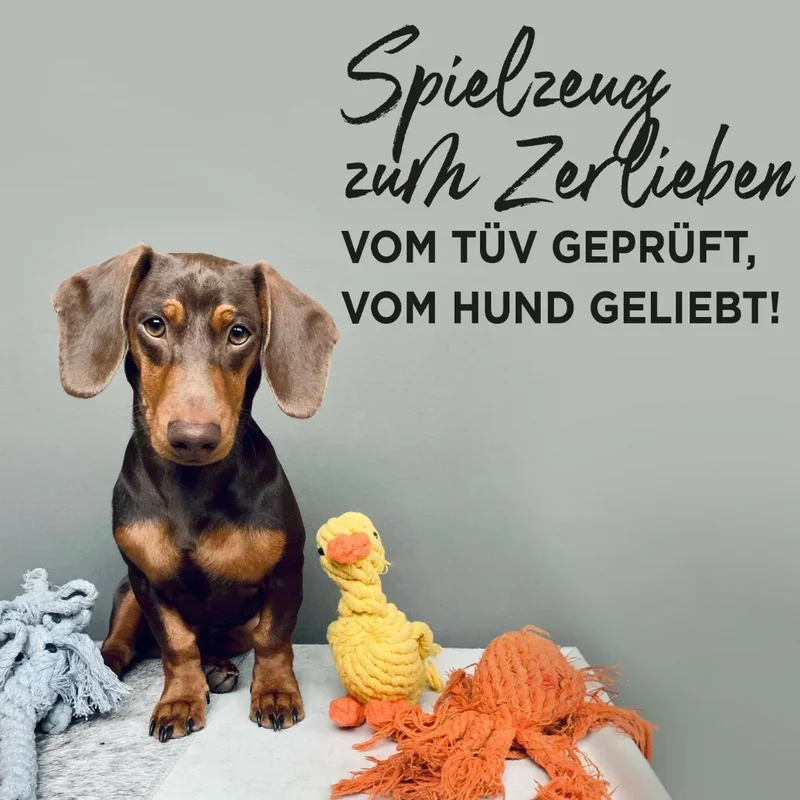 Öko-Hundespielzeug "Diego Dackel" | 100% Baumwolle & recyclebar | Natürliche Zahnpflege