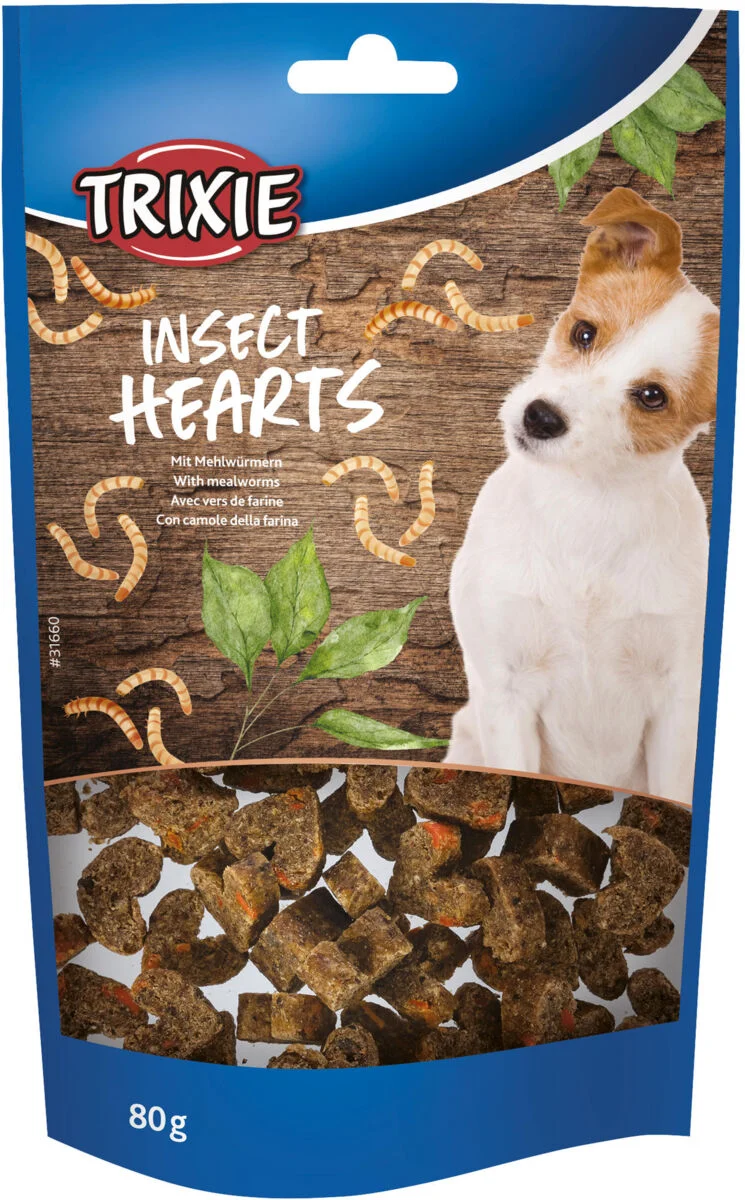 Insect Hearts