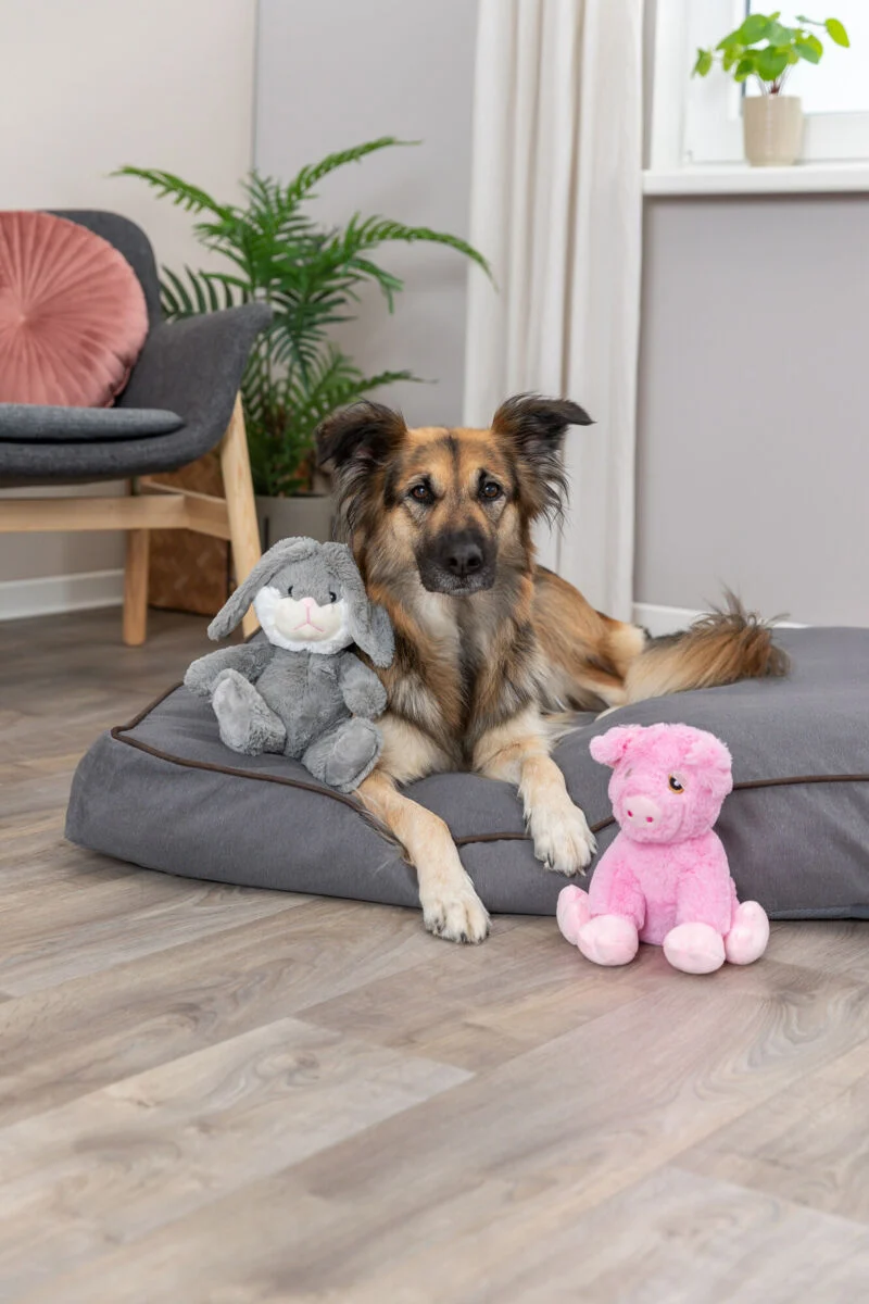 Hundespielzeug Plüsch Schwein, quietscht