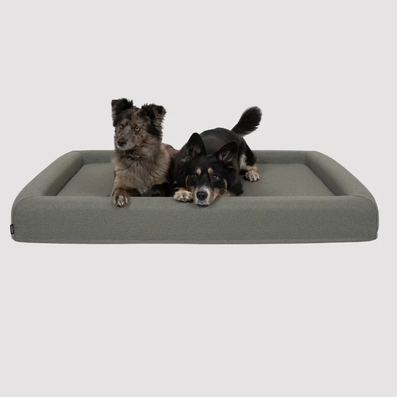 FINNTO® Hundebett orthopädisch | Antiallergen | FAIRTRADE zertifiziert & Oeko-Tex® Standard | Olivegrau
