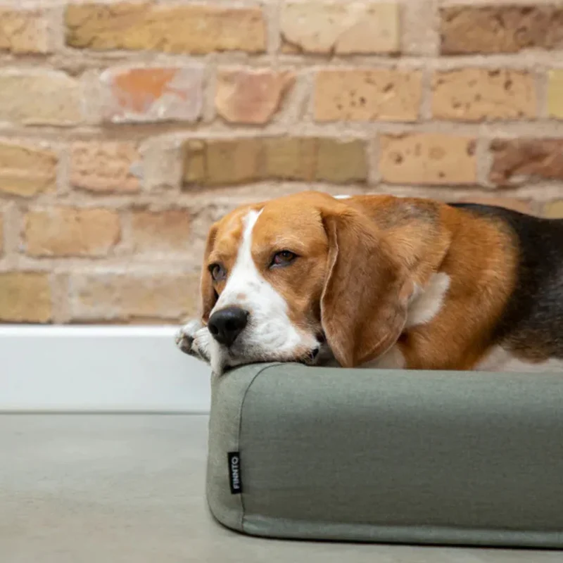 FINNTO® Hundebett orthopädisch | Antiallergen | FAIRTRADE zertifiziert & Oeko-Tex® Standard | Olivegrau