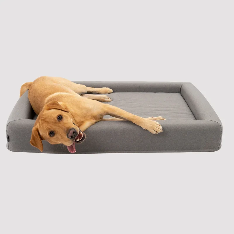 FINNTO® Hundebett orthopädisch | Antiallergen | FAIRTRADE zertifiziert & Oeko-Tex® Standard | Hellgrau