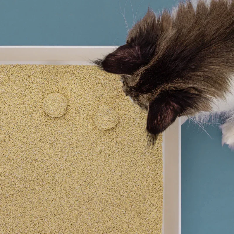 Nachhaltiges Katzenstreu Tofu Fein Natural von HOOPO® | 100% Tofu | Blitzschnelle Klumpenbildung