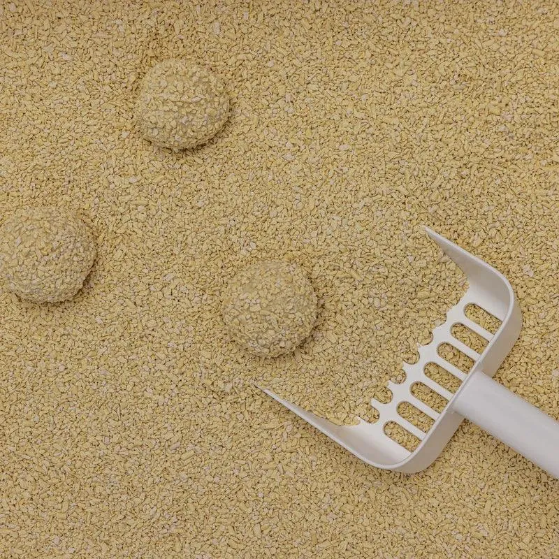 Nachhaltiges Katzenstreu Tofu Fein Natural von HOOPO® | 100% Tofu | Blitzschnelle Klumpenbildung