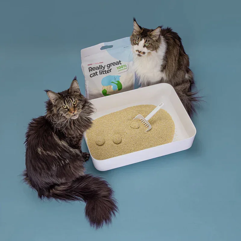 Nachhaltiges Katzenstreu Tofu Fein Natural von HOOPO® | 100% Tofu | Blitzschnelle Klumpenbildung
