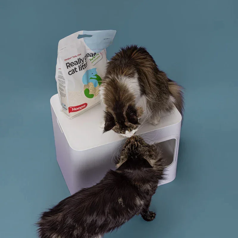 Nachhaltiges Katzenstreu Tofu Fein Natural von HOOPO® | 100% Tofu | Blitzschnelle Klumpenbildung