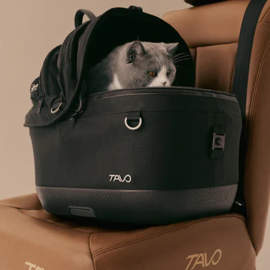 Isofix Autositz & Transportbox Maeve™ iso5x von Tavo für Hunde bis 13.6 kg | GREENGUARD-Gold-Zertifizierung | Farbe: Onyx
