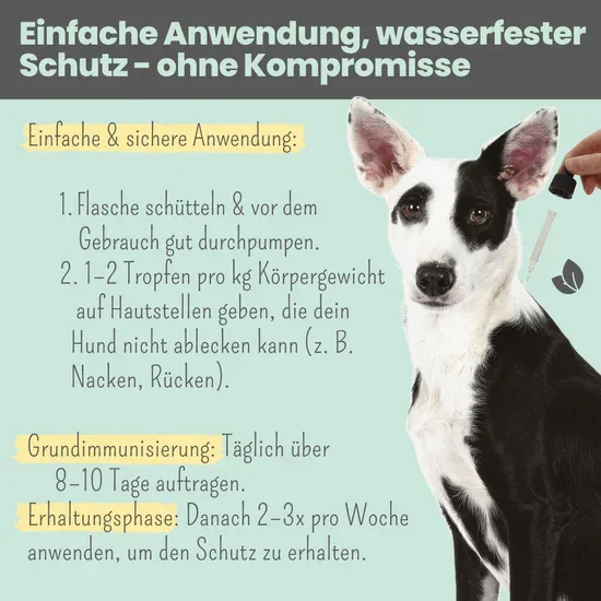 WASSERFEST Noms+ Zpot-on Tropfen für Hunde gegen Flöhe, Zecken, Milben & Mücken | 100% Chemiefrei | 100ml Jahresvorrat