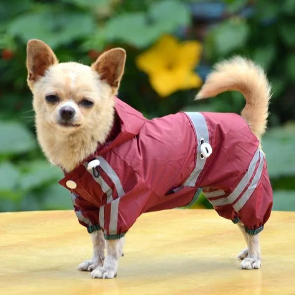 Newly Dog Raincoat Waterproof