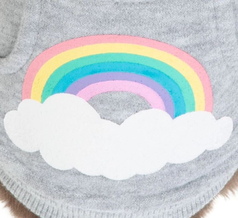 Hoodie Rainbow Falls