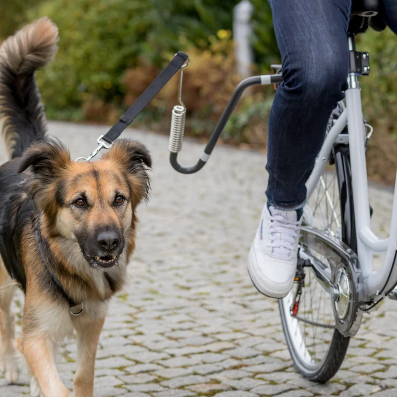 Biker-Set Fahrrad-Hundebügel in U-Form mit Abstandshalter und Federung