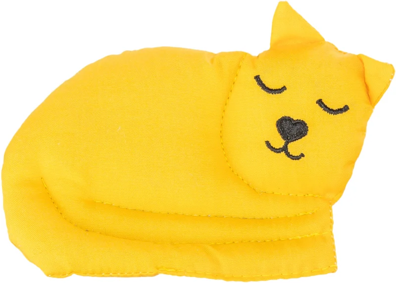 Katze