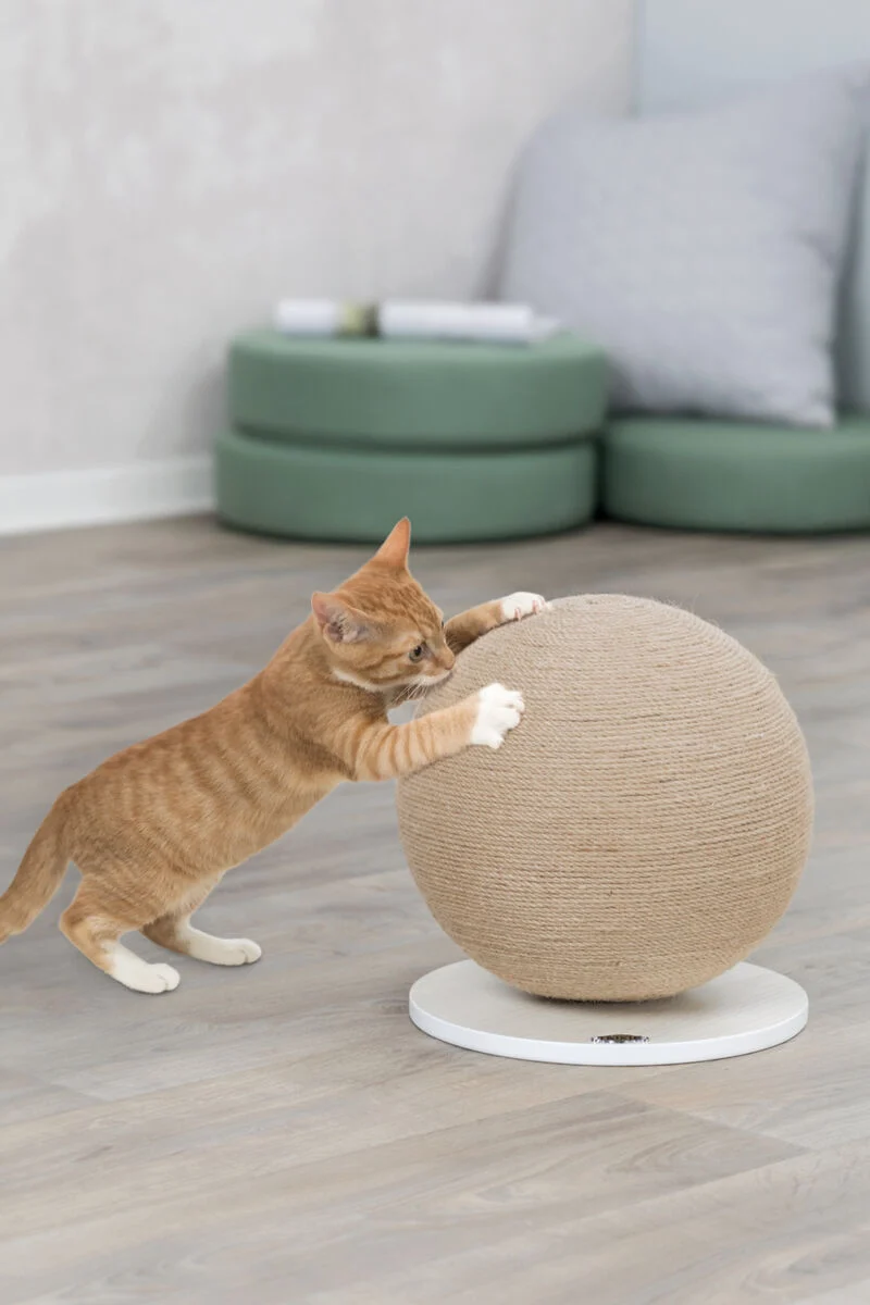 Kratzball