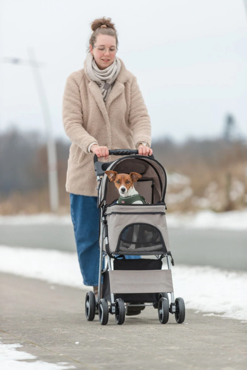 Buggy mit 4 Rädern für Hunde bis 15 kg