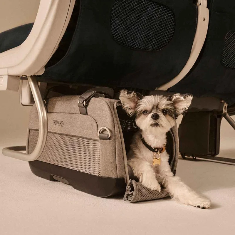 Flug- & Transporttasche Tavo Dupree II für Hunde & Katzen bis 9 kg | GREENGUARD-Gold-Zertifizierung | Farbe: Merle