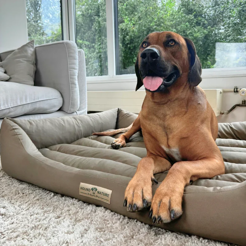 Öko-Hundebett Bern von HOUND&NATURE | Recycelte Materialien | Oeko-Tex® Standard 100 | Taupe