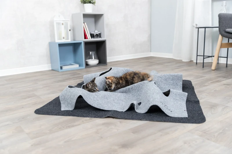 Beschäftigungsspielzeug "Adventure Carpet" für Katzen zum Schnüffeln, Pföteln und Entspannen