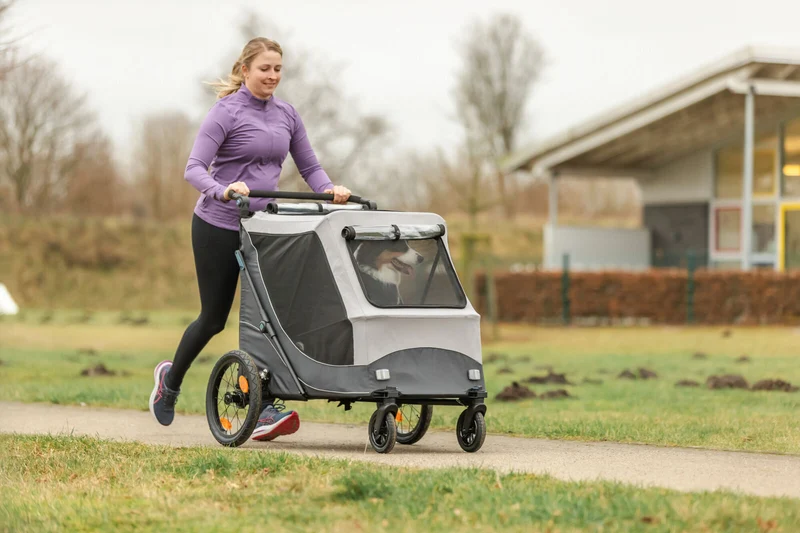 Fahrradanhänger für Hunde, schnell zusammenklappbar