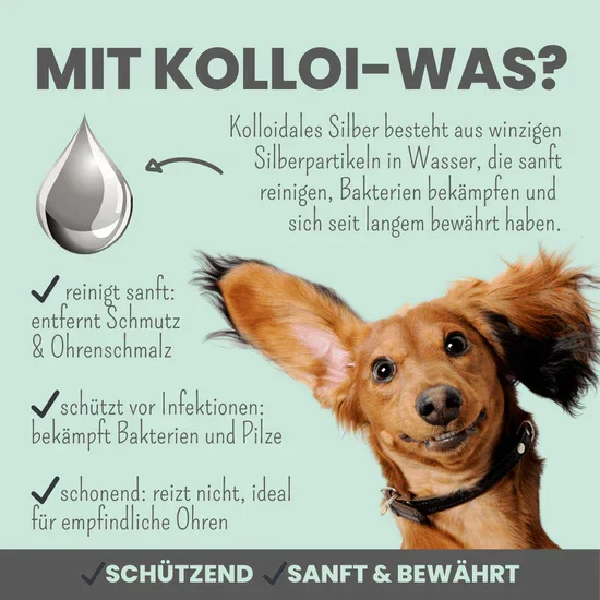 Großes Noms+ Pflege-Set | 2-in-1 Augenfein + 2-in-1 Ohrfein + Pflegepads | Für Hunde & Katzen | 100% vegan & tierleidfrei |