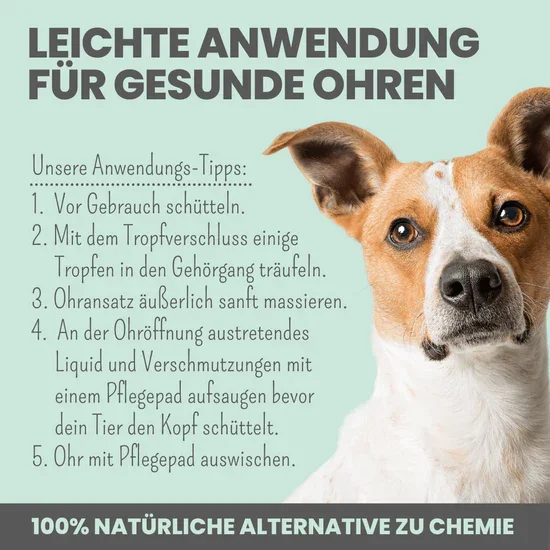 Großes Noms+ Pflege-Set | 2-in-1 Augenfein + 2-in-1 Ohrfein + Pflegepads | Für Hunde & Katzen | 100% vegan & tierleidfrei |