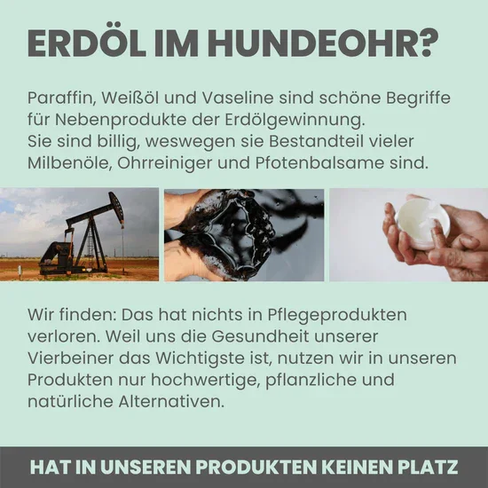 Großes Noms+ Pflege-Set | 2-in-1 Augenfein + 2-in-1 Ohrfein + Pflegepads | Für Hunde & Katzen | 100% vegan & tierleidfrei |