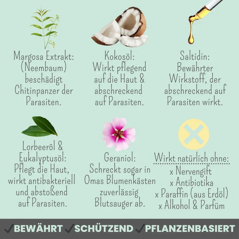 Noms+ Anti-Zecken Spray für Hunde & Menschen | gegen Flöhe, Zecken, Milben & Mücken | 100% Chemiefrei | 100ml Jahresvorrat