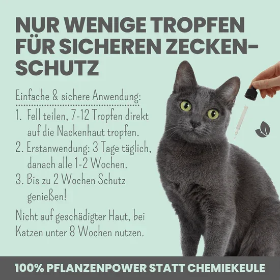 PROBIERANGEBOT! Noms+ Zpot-on für Katzen gegen Zecken, Flöhe & Co. | 100% Chemiefrei | 30ml Jahresvorrat | 100% vegan & tierleidfrei