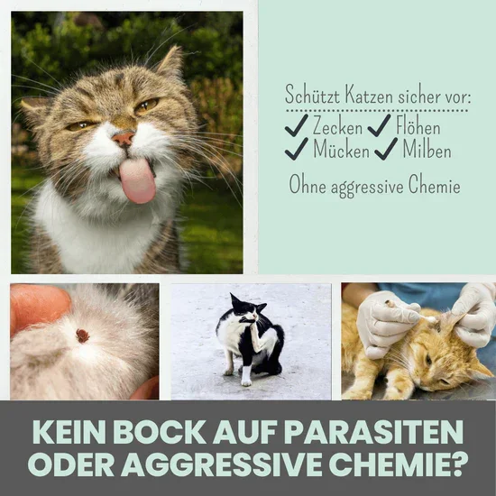 PROBIERANGEBOT! Noms+ Zpot-on für Katzen gegen Zecken, Flöhe & Co. | 100% Chemiefrei | 30ml Jahresvorrat | 100% vegan & tierleidfrei