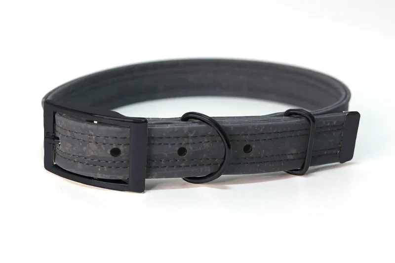 Hundehalsband mit Dornschnalle | Korkleder | Umweltfreundlich | Robust & Vegan | Anthrazit/schwarz