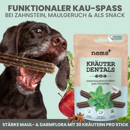 noms+ 3in1 Dental Box für Hunde | Natürlich & ohne Chemie | 100% vegan & tierleidfrei | Peta-zertifiziert