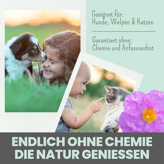 Noms+ Zistrosen Tabs - 100% natürliches Zistrosen-Leckerli für Wald- & Wiesenspaziergänge | Für Hund & Katze | 100% Chemiefrei | 150g